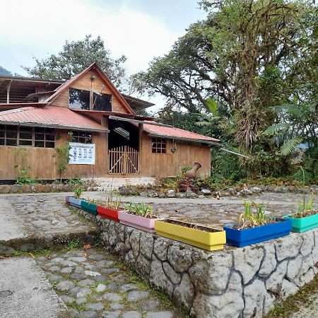 Mindo Loma Bird Lodge Kültér fotó